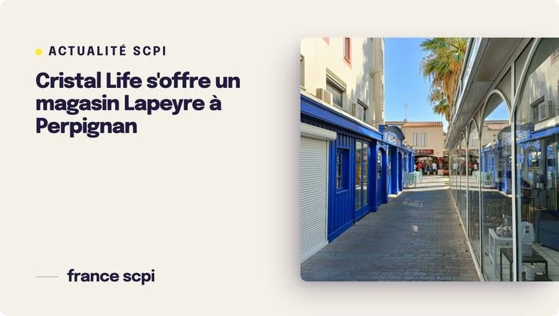 La SCPI Cristal Life s'offre un magasin Lapeyre à Perpignan