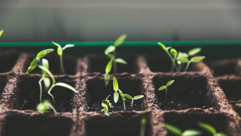 Le comité du label ISR annonce la révision de son référentiel