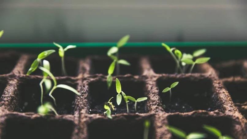 Le comité du label ISR annonce la révision de son référentiel