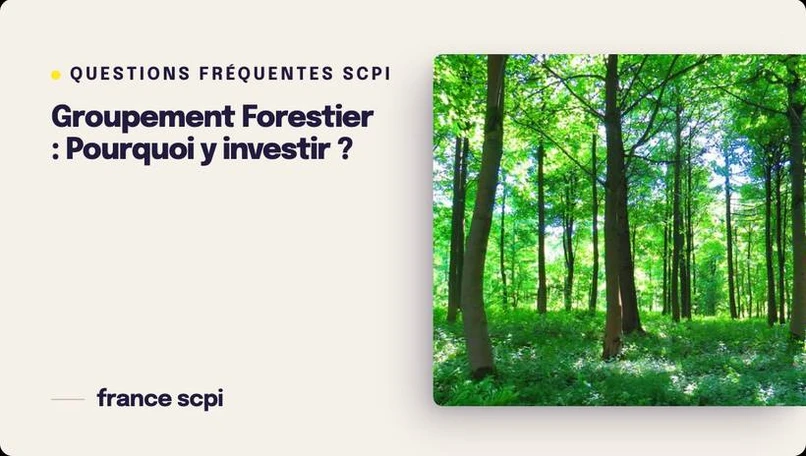 Groupement Forestier : Pourquoi y investir en 2026 ?