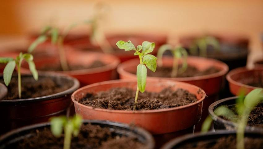 La SCPI Cristal Rente adopte l’article 8 du règlement SFDR