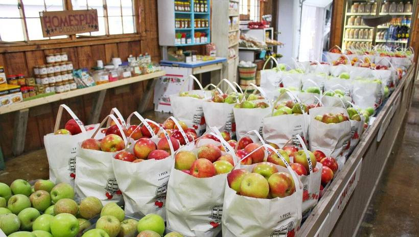 La SCPI GMA Essentialis s’implante en Allemagne