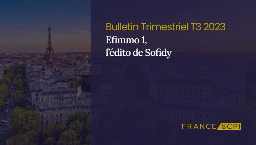 Stabilité et croissance d'Efimmo 1 dans un marché immobilier volatil