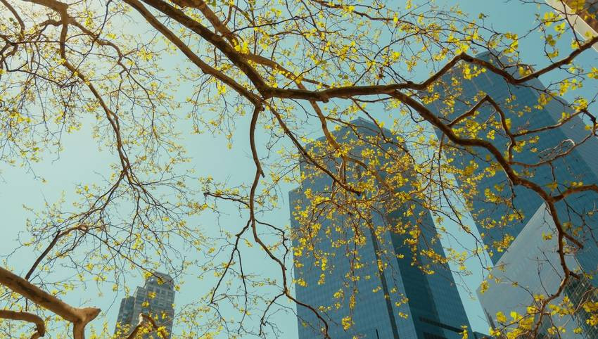 Linaclub allie performance financière et engagement ESG