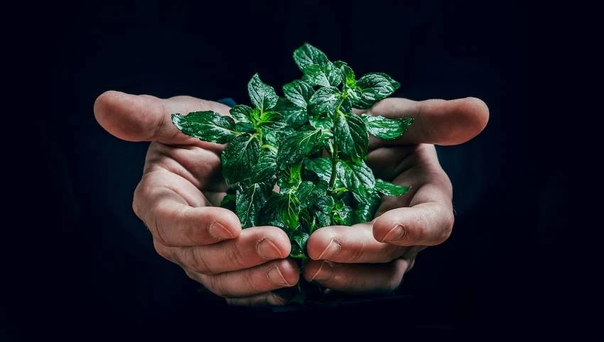 La SCPI Pierval Santé renouvelle son label ISR