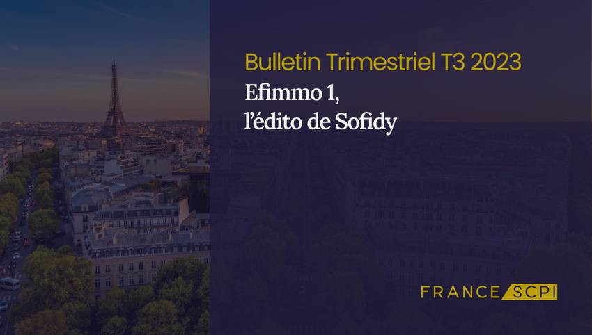 Stabilité et croissance d'Efimmo 1 dans un marché immobilier volatil