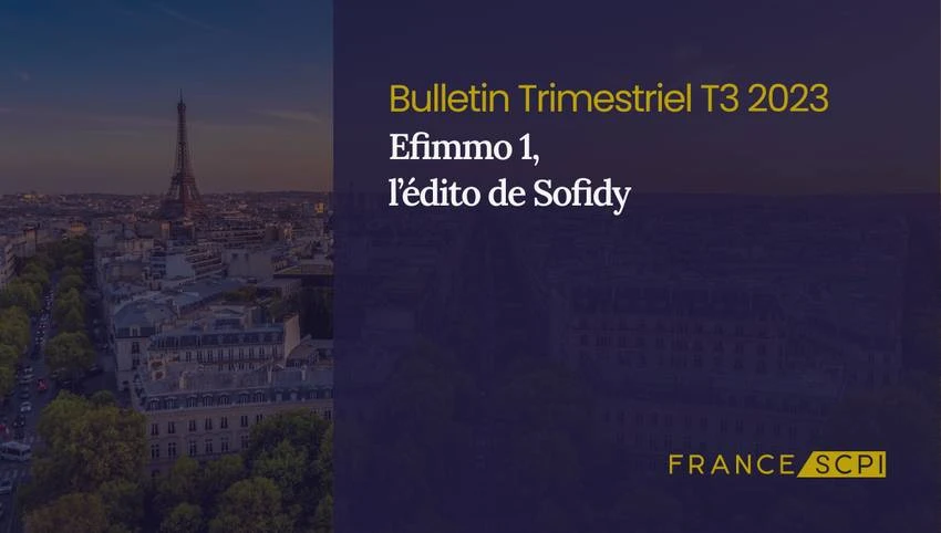 Stabilité et croissance d'Efimmo 1 dans un marché immobilier volatil