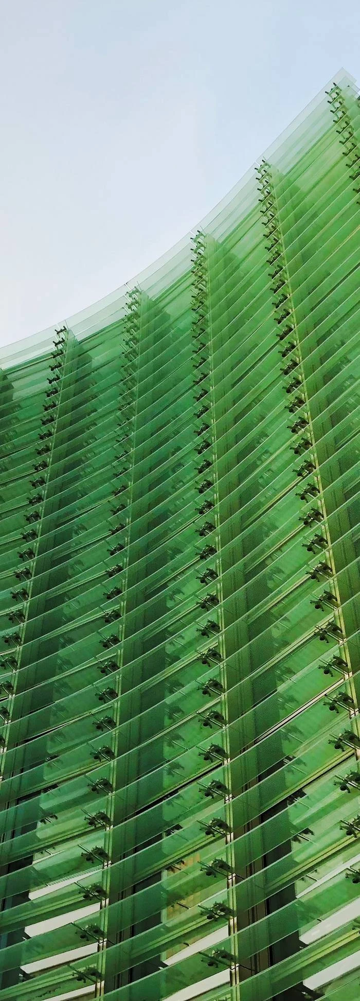 Comment est attribué ce Label ISR ?