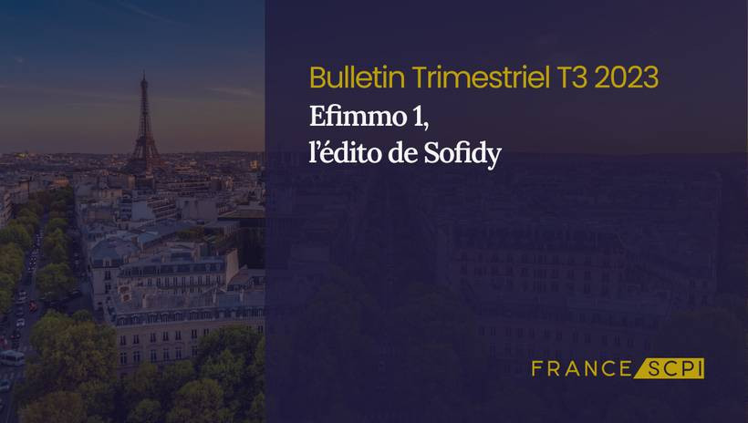 Stabilité et croissance d'Efimmo 1 dans un marché immobilier volatil