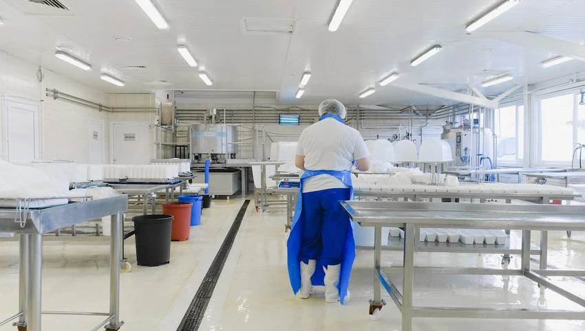 Altixia Cadence XII accueille Polli France à Nice