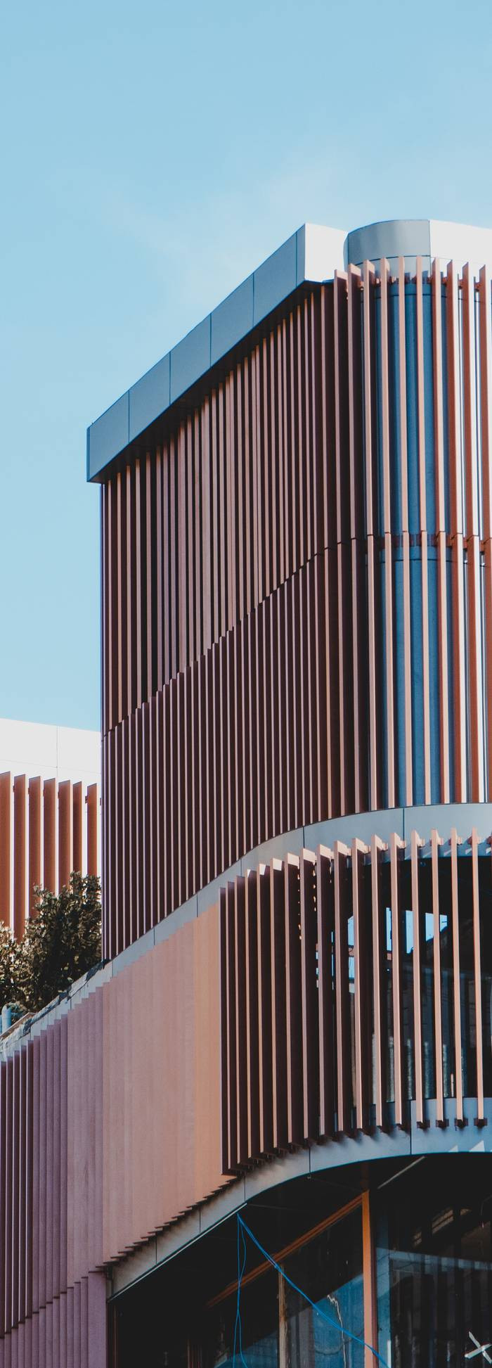 Définition du démembremen